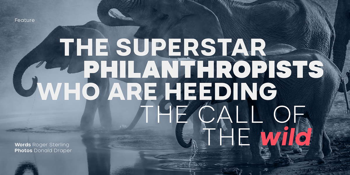 Nominee, a Sans Serif Font by TypeUnion (Photo 2 of 15)