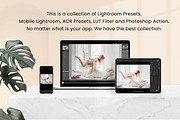 Bright Light Lightroom Photoshop LUT, a Preset Add-On by 3Motional (Thumbnail 2 of 11)