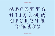 Dravella | A Embroidery Script Font, a Handwritten Font by Berdansabersama (Thumbnail 2 of 8)