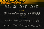 Billotea Typeface, a Script Font by alit design (Thumbnail 17 of 20)
