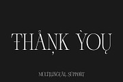 Chakem - Modern Ligature serif Font, a Serif Font by Issam Type (Thumbnail 12 of 12)