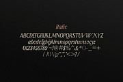 Monticello - Heritage Serif Typeface, a Serif Font by ZimlichMediaDesign (Thumbnail 3 of 10)