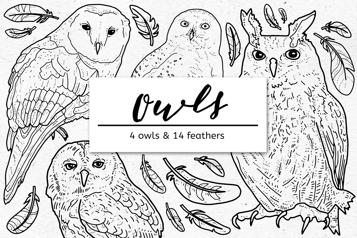 Owl Graphics, an Object Graphic by voidea