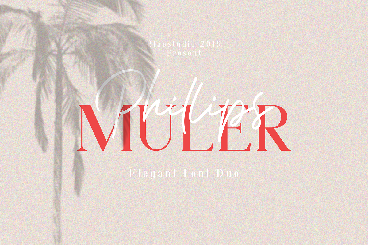 Phillips Muler // Elegant Font Duo, a Script Font by Bluestudio (Photo 11 of 11)