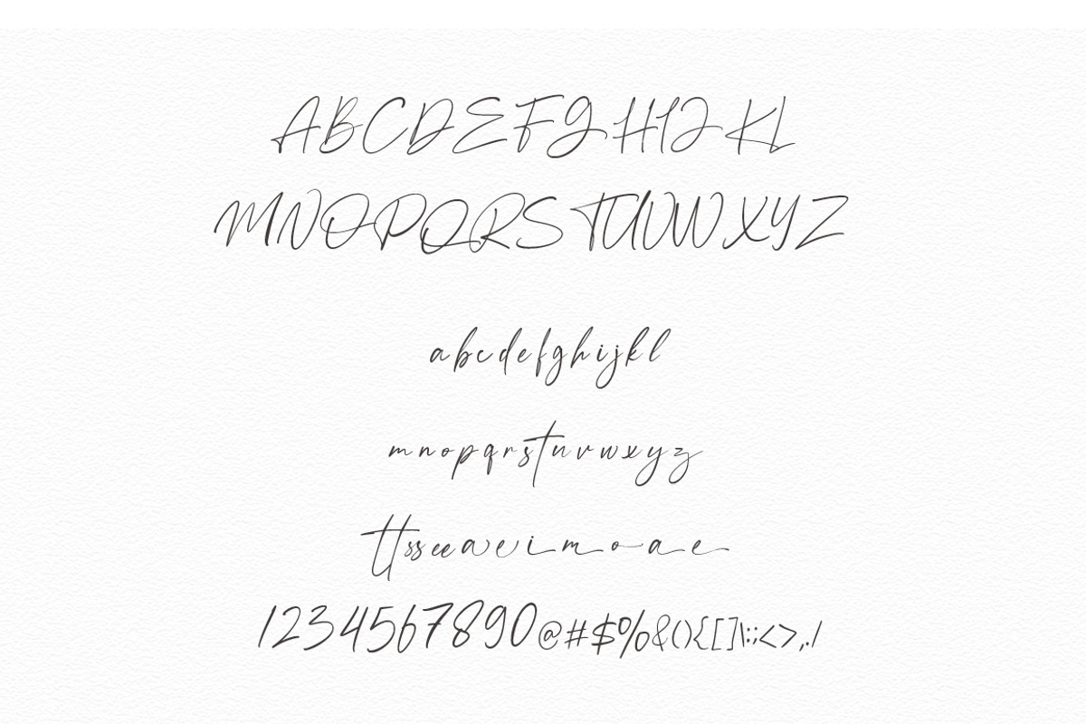 Anamortee // Modern Calligraphy Font, a Script Font by Vultype Co. (Photo 9 of 13)