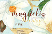 Magnolia white luxury illustrations, an Illustration by LABFcreations (Thumbnail 2 of 5)