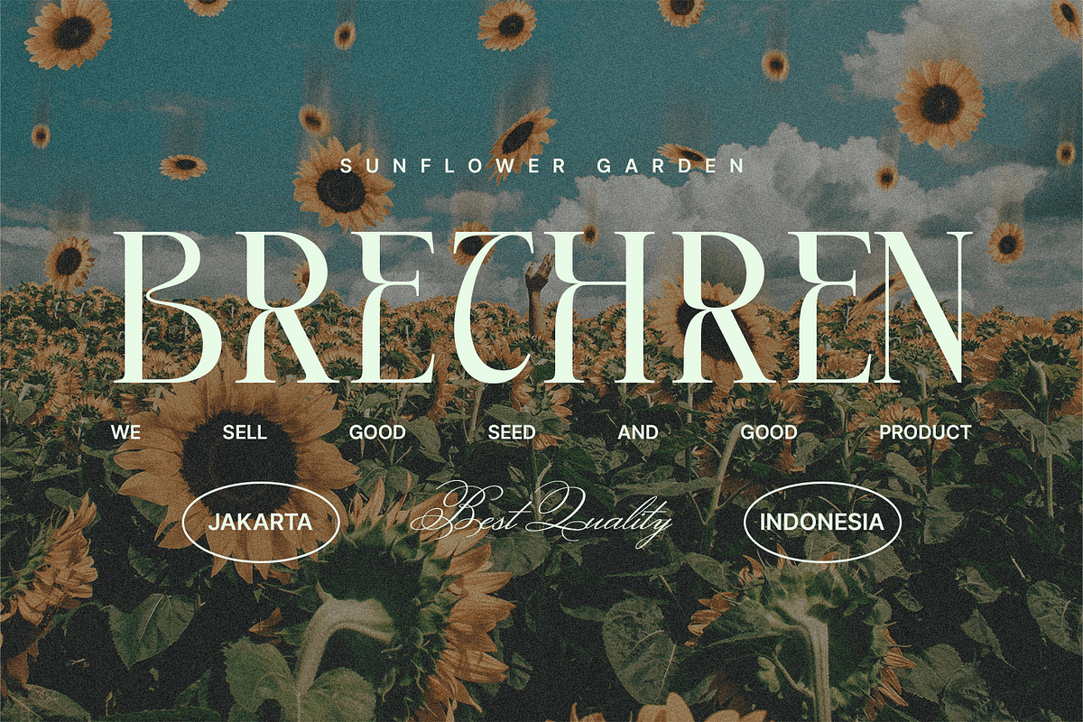 Amerilda – Elegant Luxury Serif Font, a Serif Font by Pixesia Studio (Photo 4 of 10)