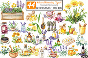 Watercolor Natural Remedies Clipart, an Illustration by DreamCafeArt (Thumbnail 1 of 3)