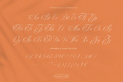 Perfections - Classy Romantic Script, a Script Font by BrandSemut (Thumbnail 6 of 15)