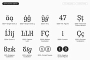TT Regins, a Serif Font by TypeType (Thumbnail 14 of 15)
