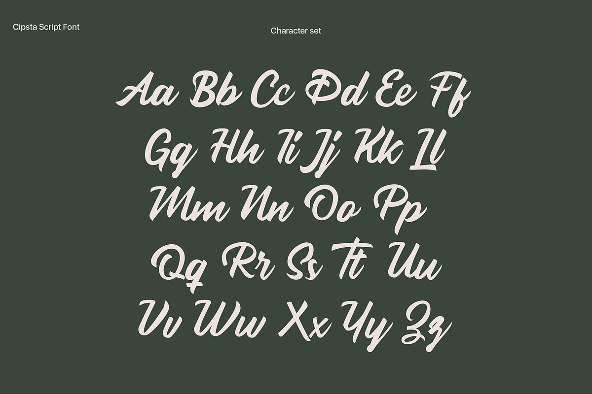 Cipsta Script Font, a Script Font by Ryan Rivaldo Vierra (Photo 5 of 10)
