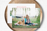 Vintage Mini Session Flyer Template, a Flyer Template by The Proper Type™ (Thumbnail 2 of 2)