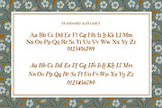 Stonewynd Rustic Serif Font, a Font by Eclectic Anthology (Thumbnail 4 of 8)