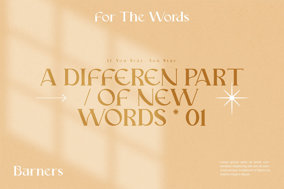Mariona Luxury Serif Font, a Serif Font by Compaq_Creative (Photo 5 of 15)