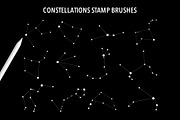 La Luna-stamp brush Procreate, a Brush Add-On by Moonflora (Thumbnail 7 of 9)