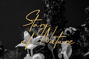 Paris Hamilton Handwritten Font, a Handwritten Font by Elegant Font (Thumbnail 6 of 12)