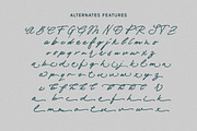 Marielle Brush Script, a Handwritten Font by Letterhend Studio (Thumbnail 9 of 10)