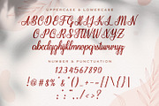 Seindah Cinttya - Casual Script Font, a Script Font by StringLabs (Thumbnail 10 of 12)