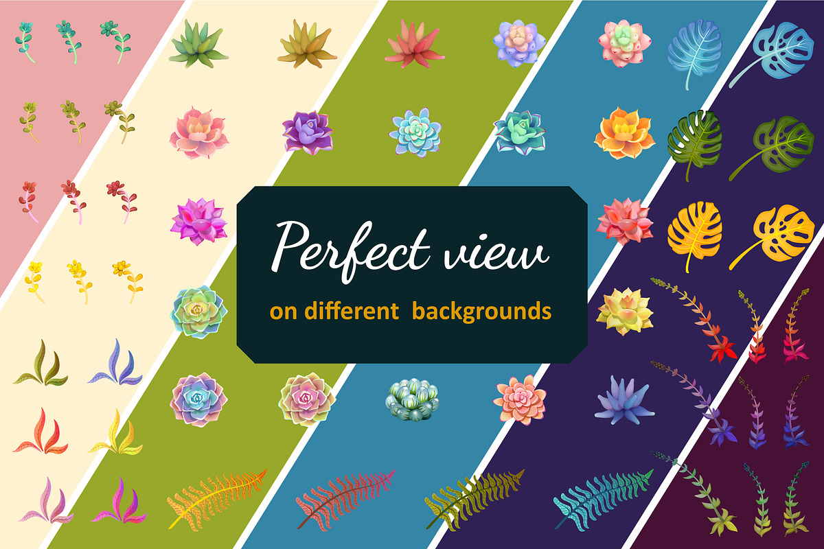 Magical Succulents, an Object Graphic by Chuchilko shop (Photo 5 of 7)