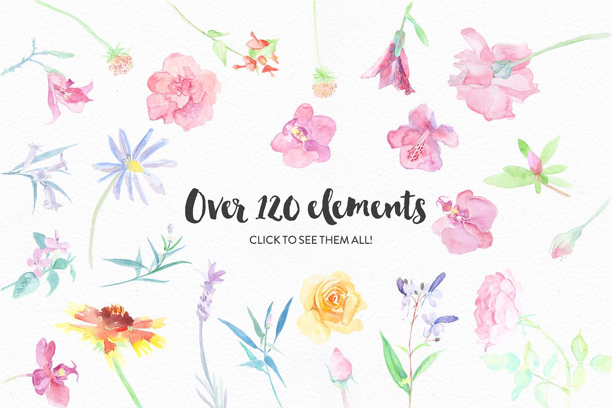 Watercolor Flower Pack, an Illustration by Graphic Goods Co (Photo 2 of 6)