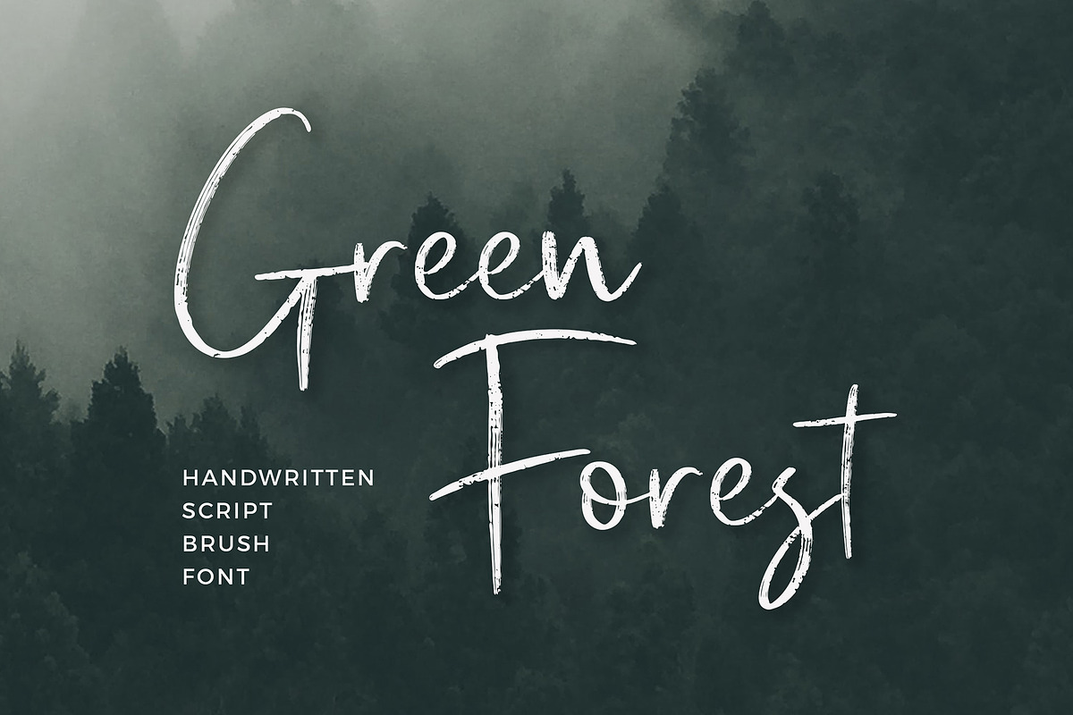 Black Shine Script Brush Font preview 2