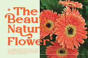 Vegitto || Vintage Retro Serif Font, a Serif Font by Ermedia Studio (Thumbnail 6 of 10)