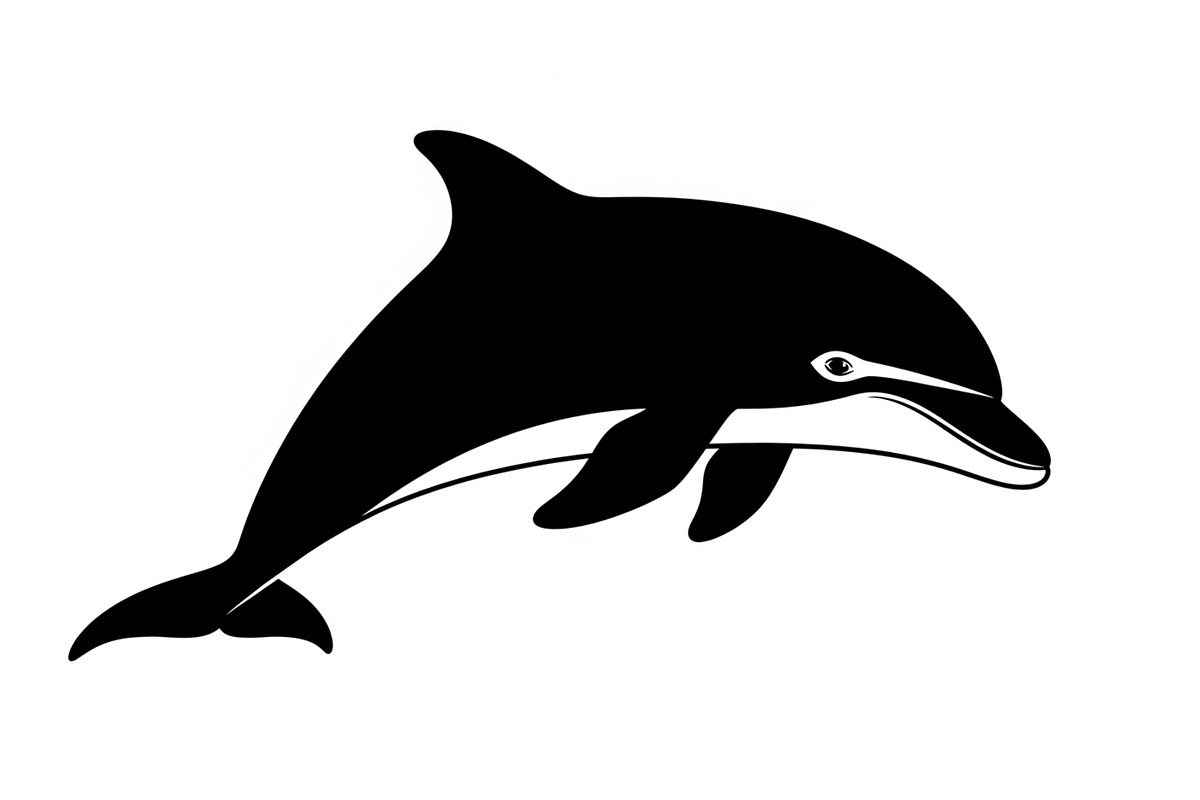Dolphin Jumping Silhouette Vector bu, an Illustration by Designs_River (Photo 41 of 48)