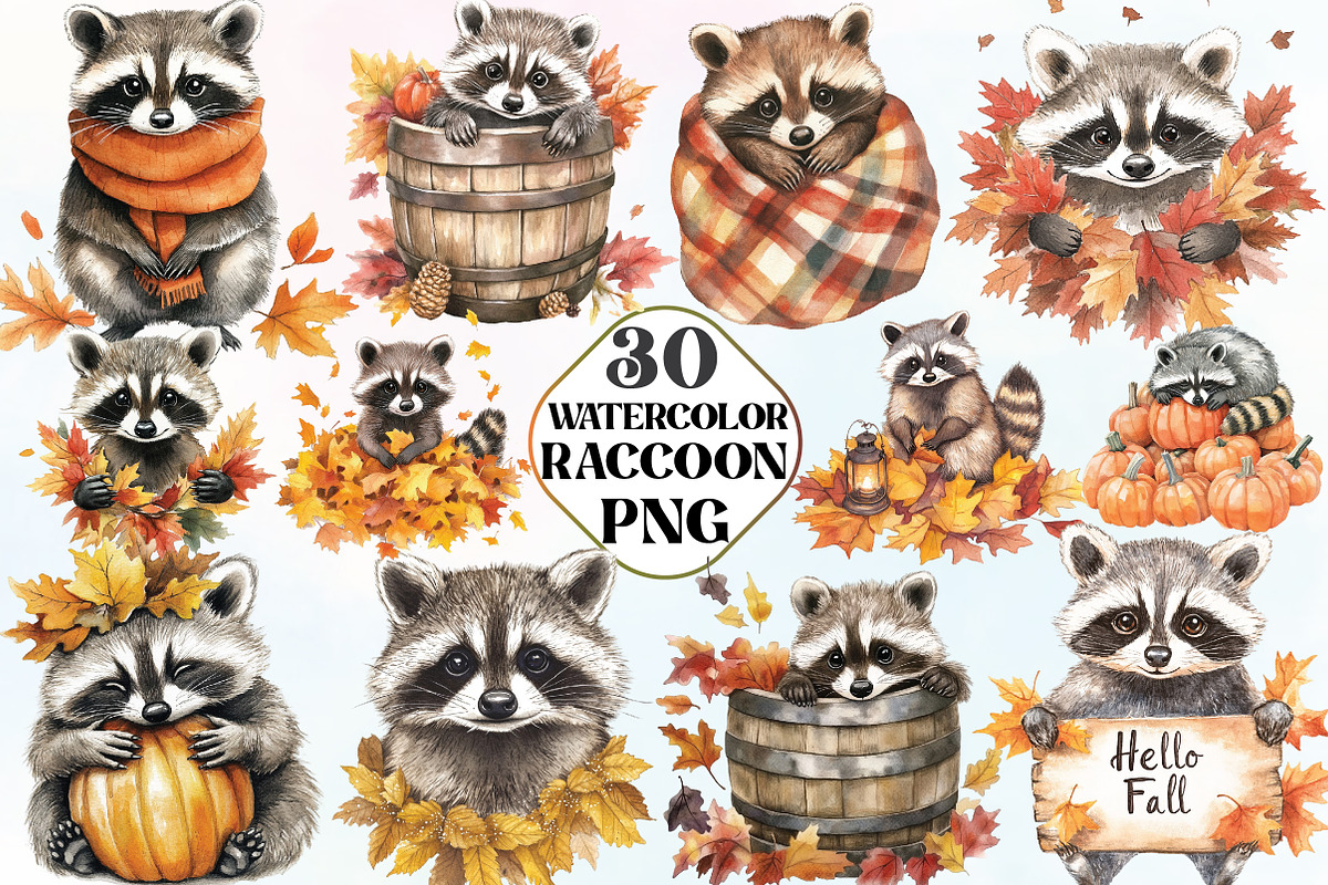 Watercolor Autumn Raccoon Clipart, an Illustration by CraftArtStudio (Photo 1 of 6)