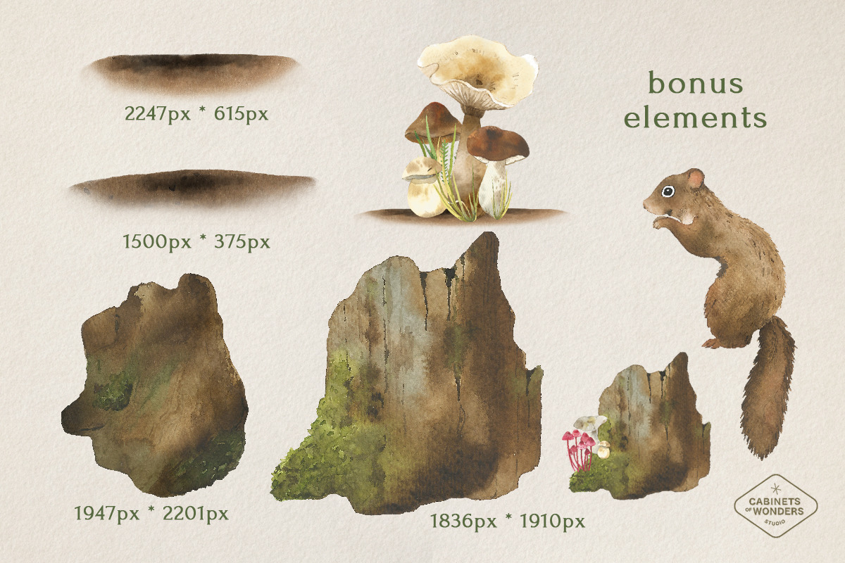 Mushroom Watercolor Clipart Set, an Illustration by STUDIO CABINET (Photo 4 of 6)