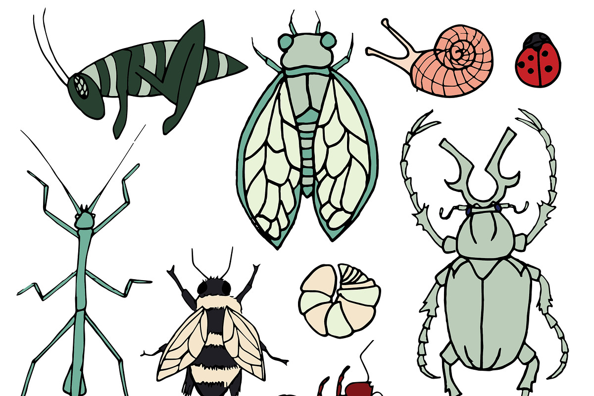 Insects, an Illustration by Valeri Nick (Photo 2 of 5)