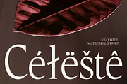 CS Quinzel – Contemporary Font, a Serif Font by Craft Supply Co. (Thumbnail 7 of 8)