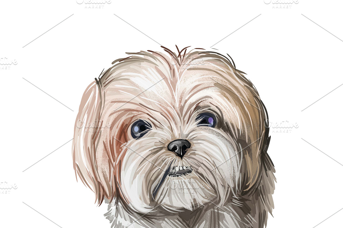 Dogs Cross Breeds 56 Animals Bundle, an Animal Illustration by Dneprstock (Photo 41 of 55)