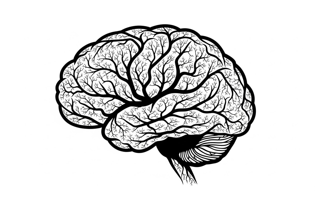 Brain Tree Knowledge Design Bundle, an Illustration by Gaye Art (Photo 4 of 31)