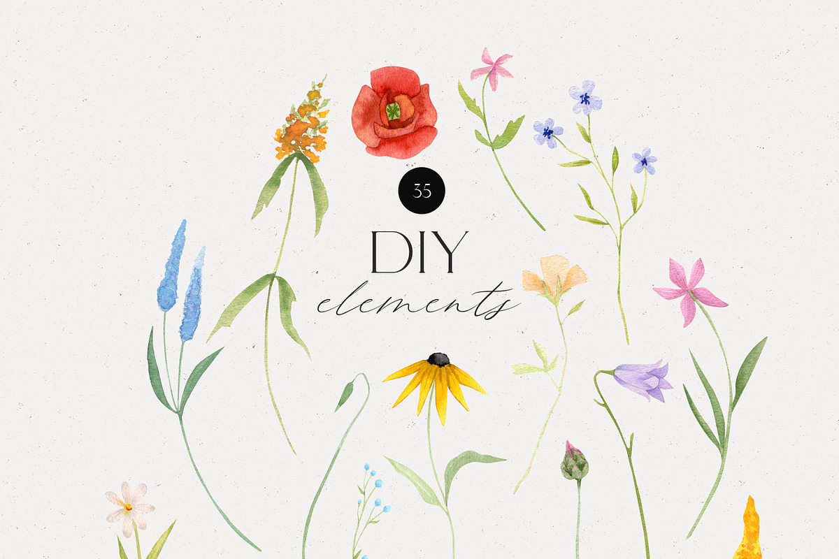 Watercolor Wildflowers Collection, an Illustration by Alisha Gronska (Photo 2 of 10)