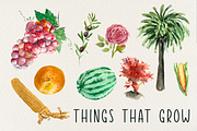 Watercolor Saudi Arabia Clip Arts, an Animal Illustration by Tati Bordiu (Thumbnail 3 of 5)