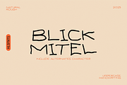 Blickmitel Handwritten Font, a Handwritten Font by 24Design Studios (Thumbnail 1 of 7)