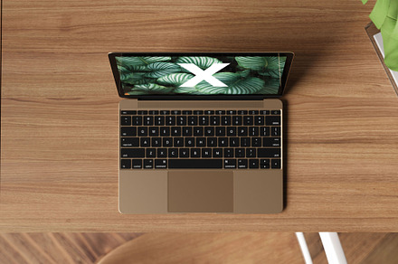 Top View Mockup Office desk