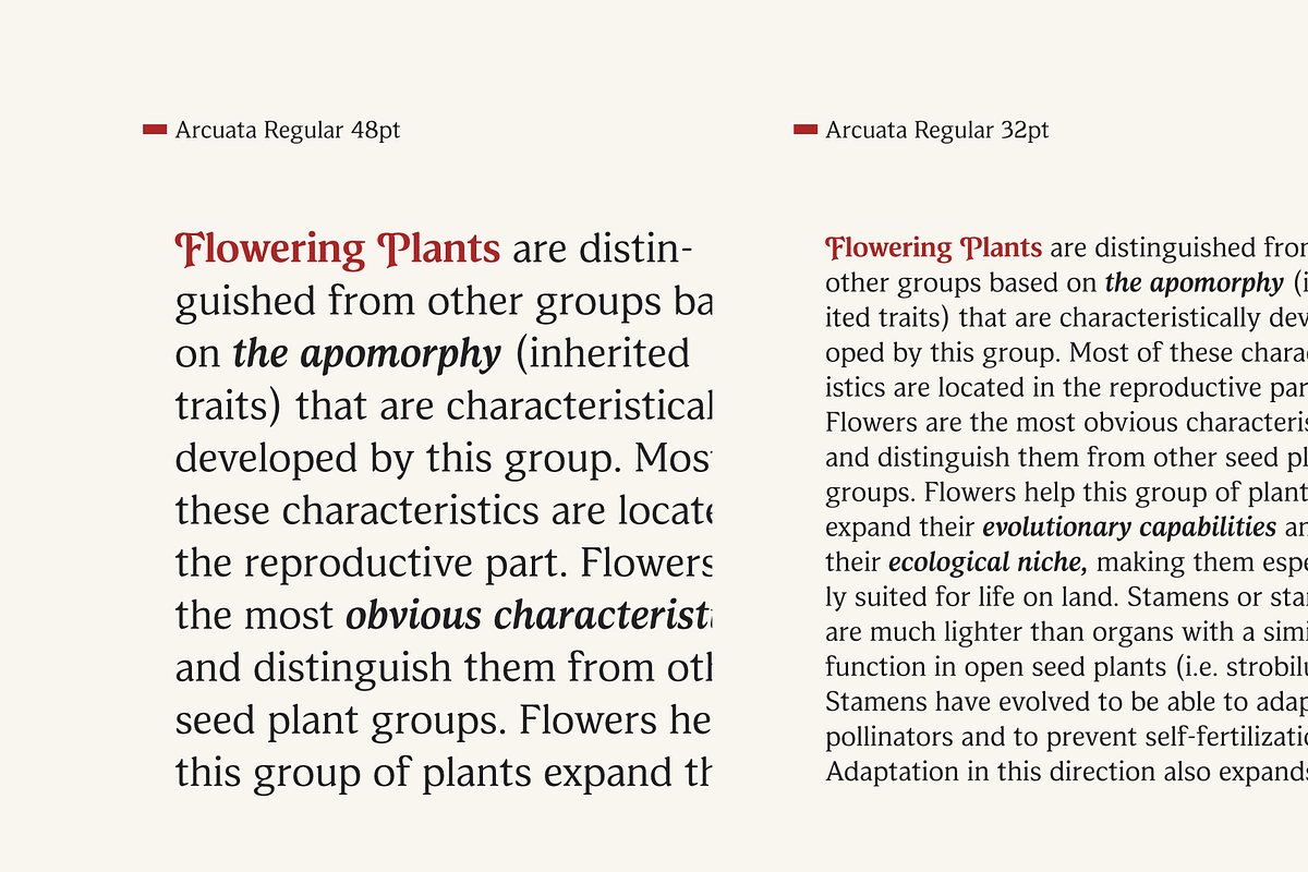 Arcuata; Serif Font Family, a Serif Font by Eko Bimantara (Photo 9 of 15)