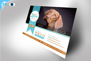 Animal Care Flyer (11x8.5 and 6x4)