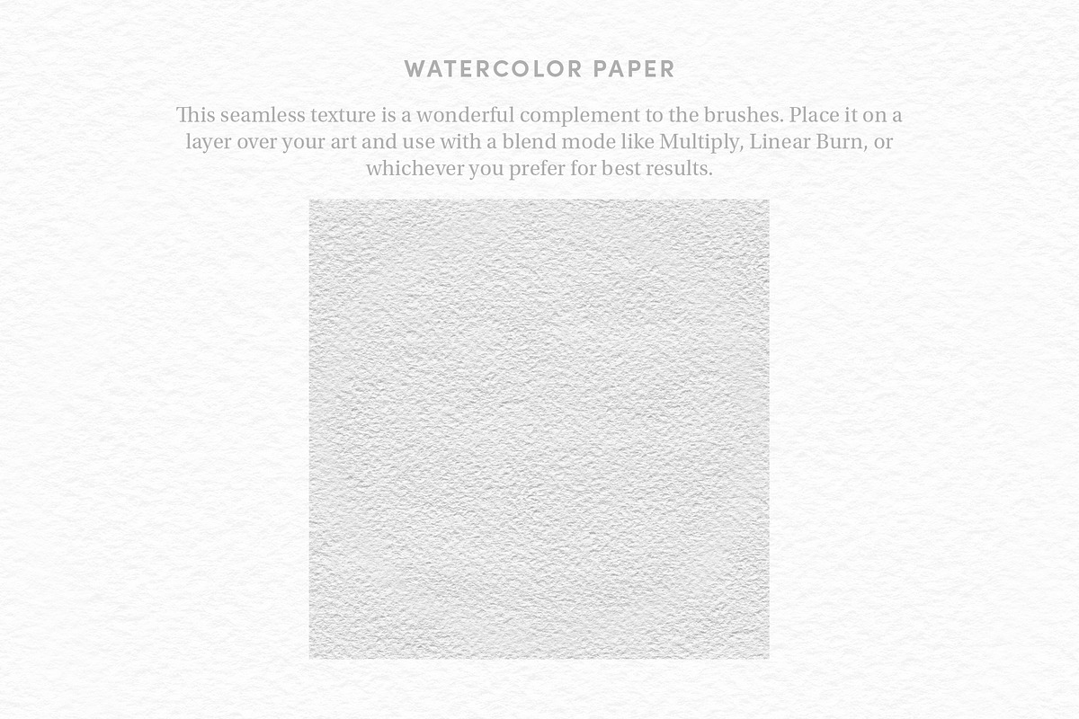 Watercolor Kit – Procreate Brushes, a Brush Add-On by Sadie Lew (Photo 11 of 14)