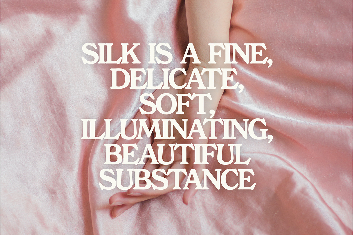 Free Spirited, a Serif Font by Horlleys (Photo 7 of 20)