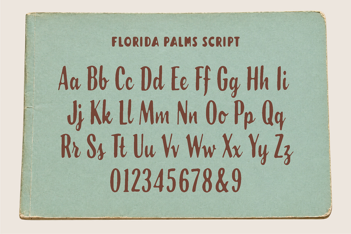 Florida Palms – Tropical Font Duo, a Script Font by Edignwn Type (Photo 12 of 12)