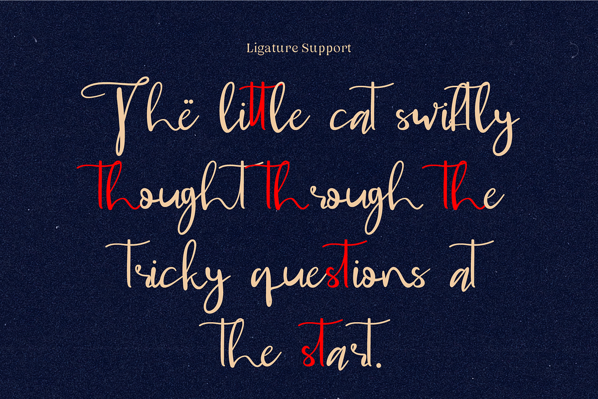 Dellynne - Elegant Signature Handwri, a Handwritten Font by Indotype Foundry (Photo 3 of 10)