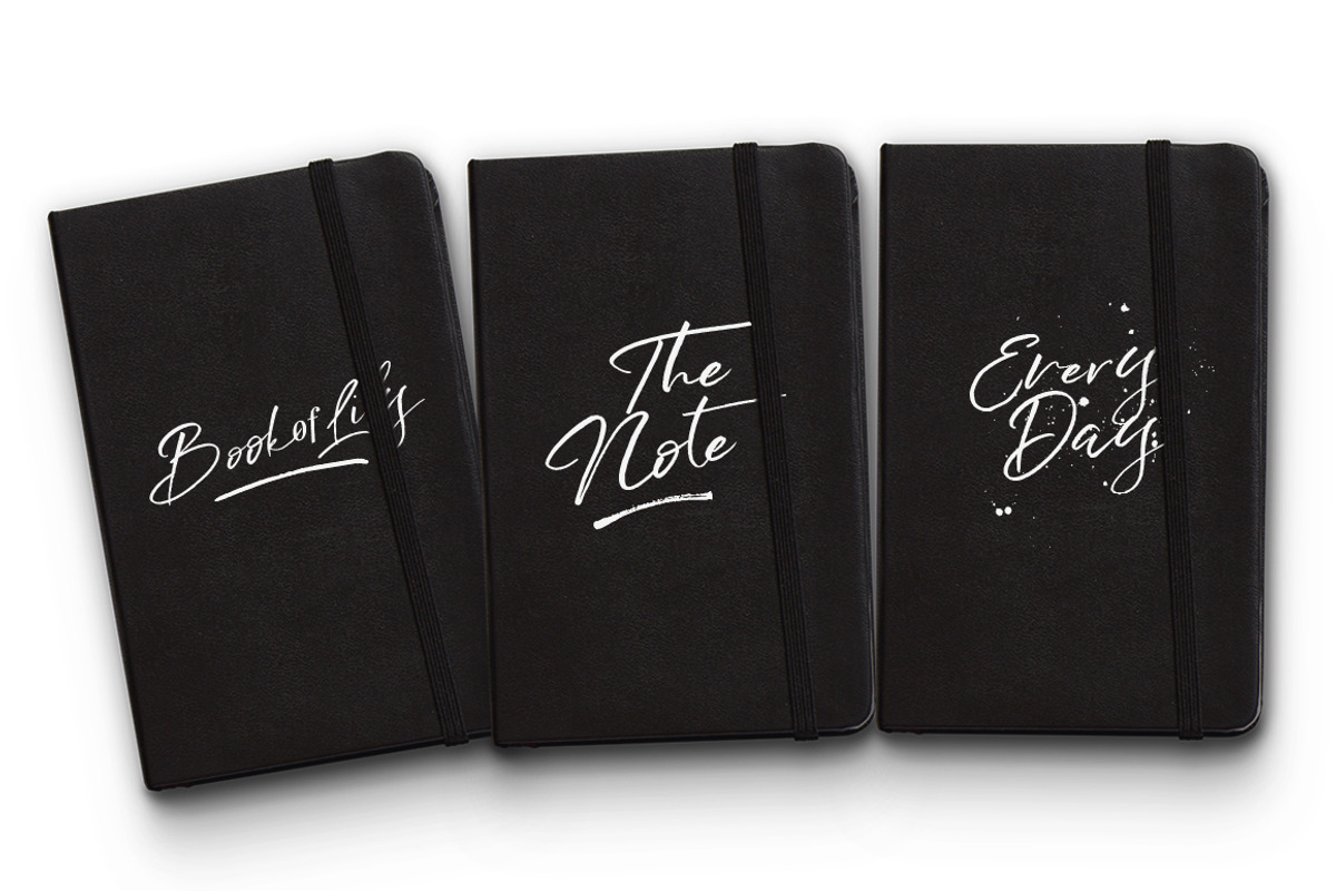 Wild Heart - Brush Font Set 40% OFF, a Script Font by Dirtyline Studio (Photo 6 of 12)
