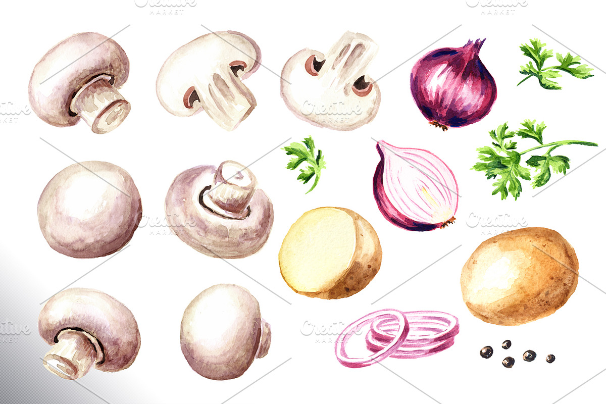 Mushrooms. Watercolor collection, a Food Illustration by Daria Ustiugova (Photo 7 of 7)