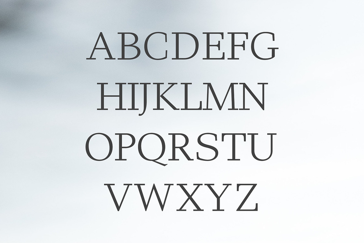Haddie Modern Serif Font Family preview 2