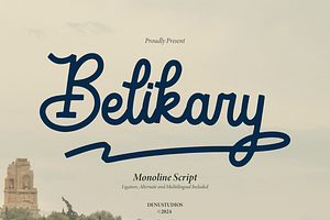 Belikary | Monoline Script, a Script Font by Denustudios