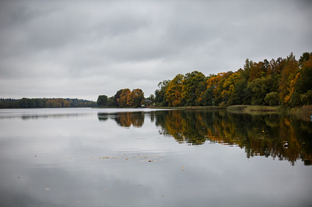 rustic landscape in autumn with orange trees and a lake during the day., a Nature Photo by SaulichPhoto
