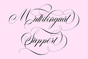 Garncoleia - Romantic Script Family, a Script Font by Sealoung (Thumbnail 11 of 12)
