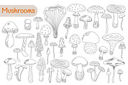 Mushroom Harvest Autumn Doodle Set, a Seasonal Illustration by Contes_de_fée (Thumbnail 2 of 9)